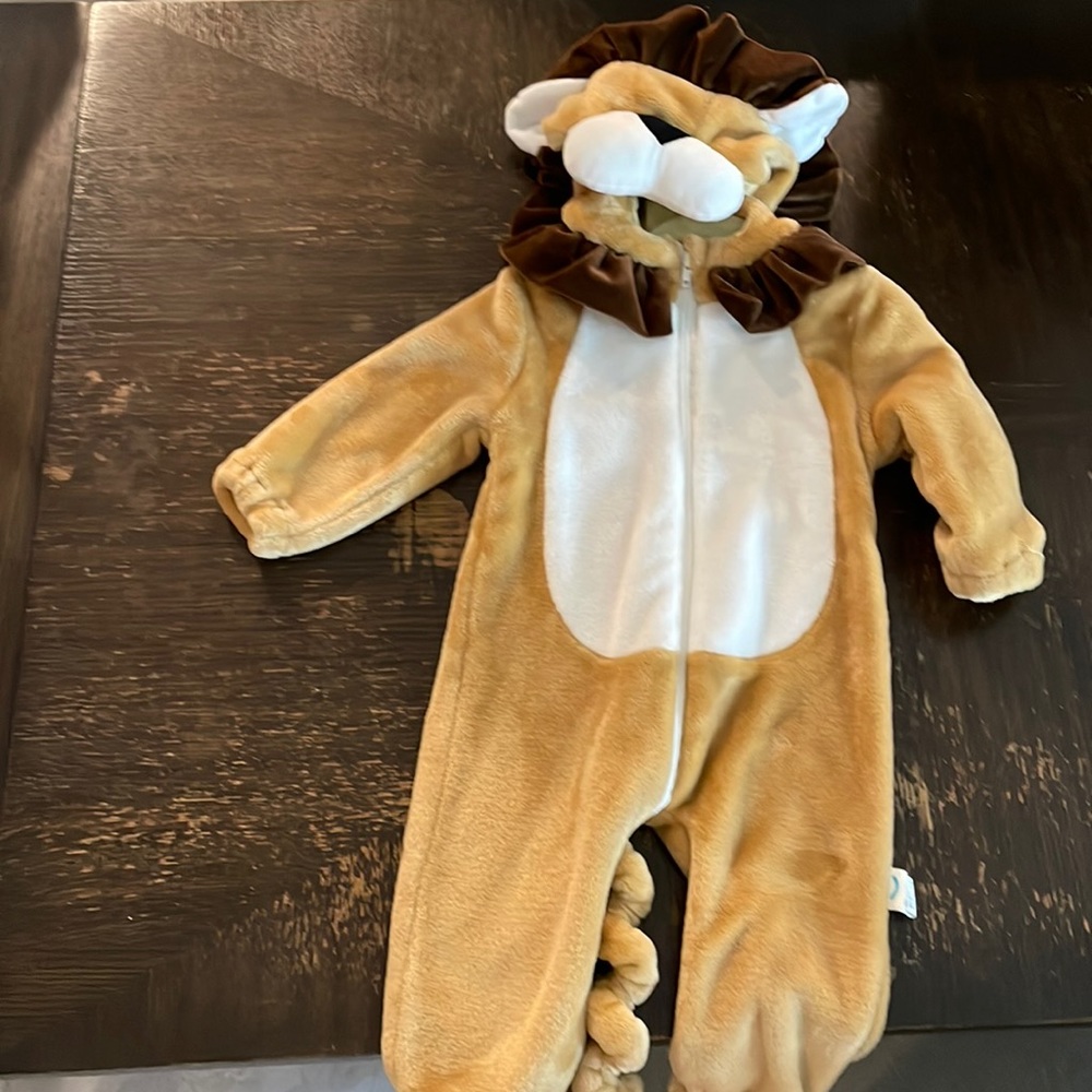 Lion costume
